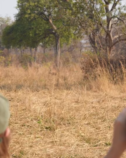 A Guide to Zambia Walking Safaris