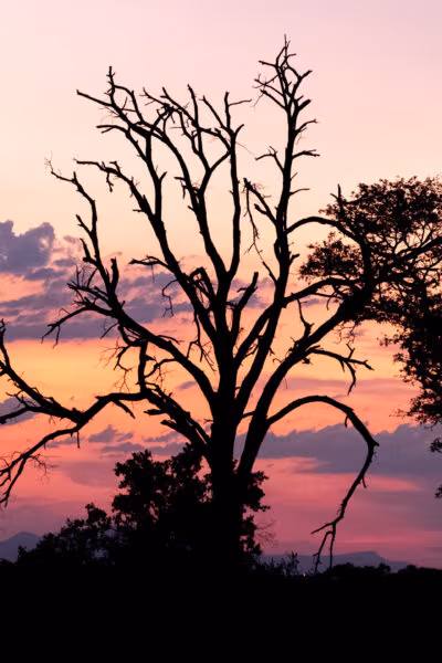 A Romantic Honeymoon to South Africa