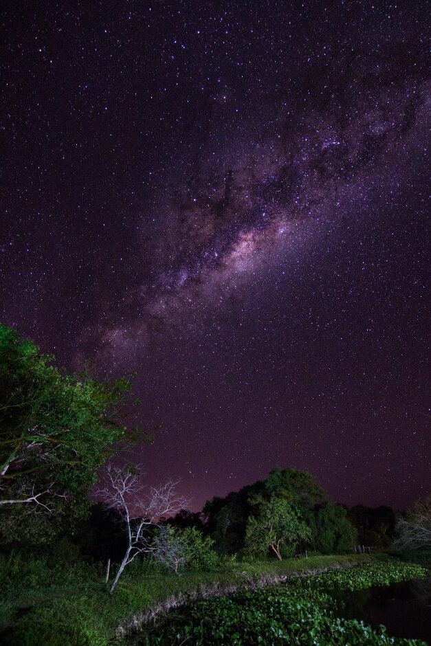 Purple and pink Milky Way galaxy visible in a dark starry night sky during luxury Pantanal vacations.