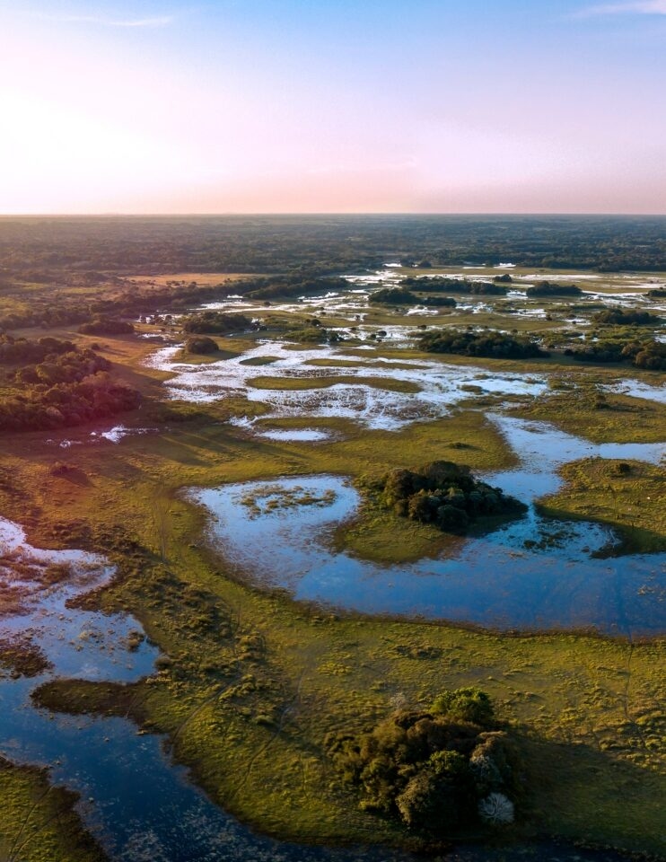 High-angle aerial view of flooded plains and green islands at sunset during luxury Pantanal trips.