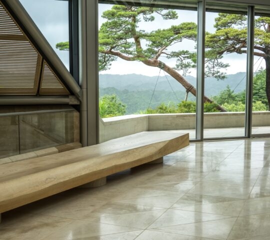 Modern interior with glass walls, a long wood bench, and a view of a large pine tree outside.