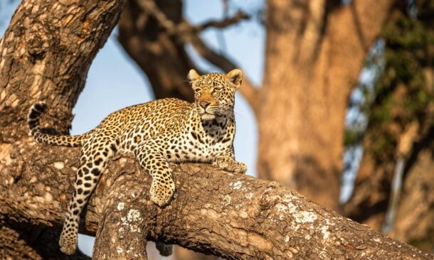 An Awe-Inspiring Journey to Namibia and South Africa