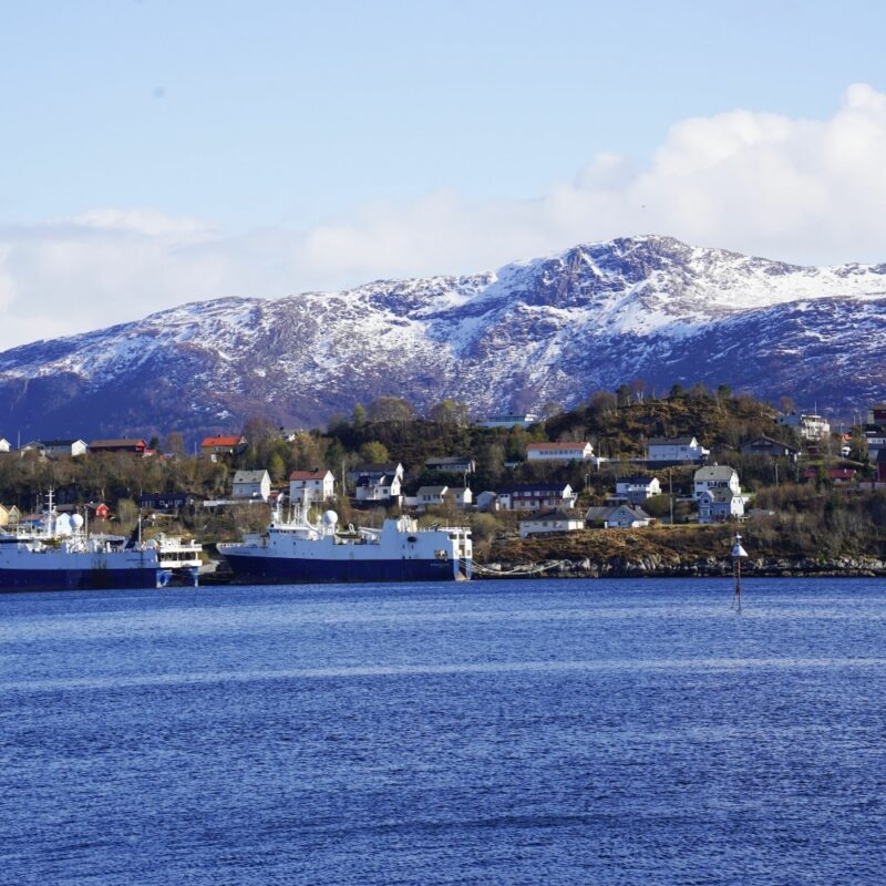 A snowy mountain above a coastal village with a ship docked in the foreground.