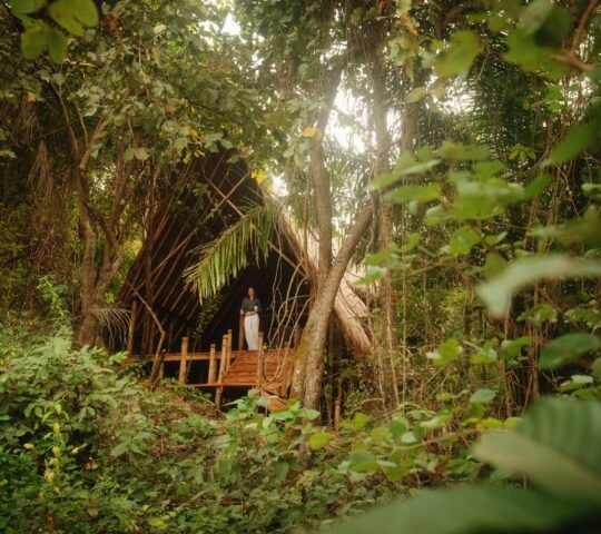 A person stands on the deck of a secluded wooden hut nestled in dense forest foliage.