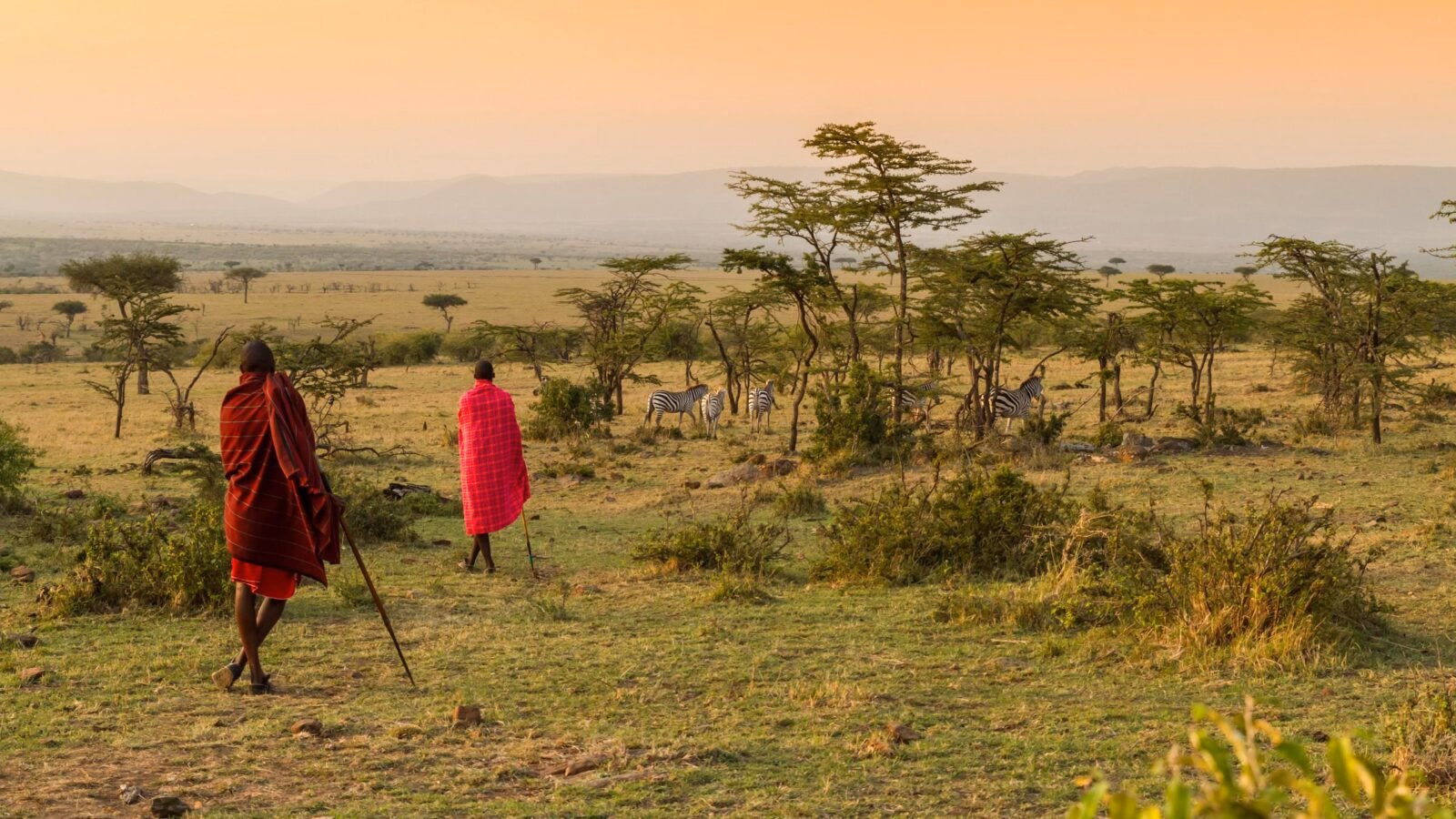 Maasai people walking among the greenery in the Maasai Mara