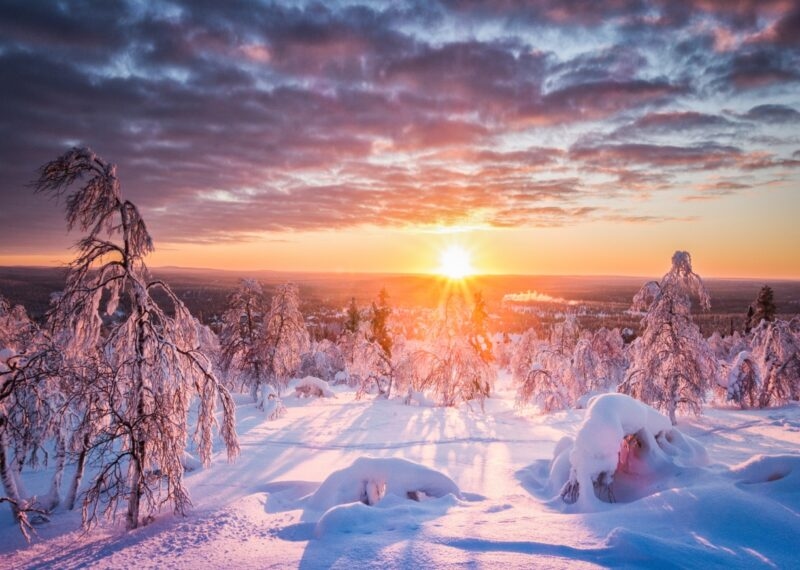 Sunrise over a snowy forest with silhouetted snow-covered trees and a colorful sky.