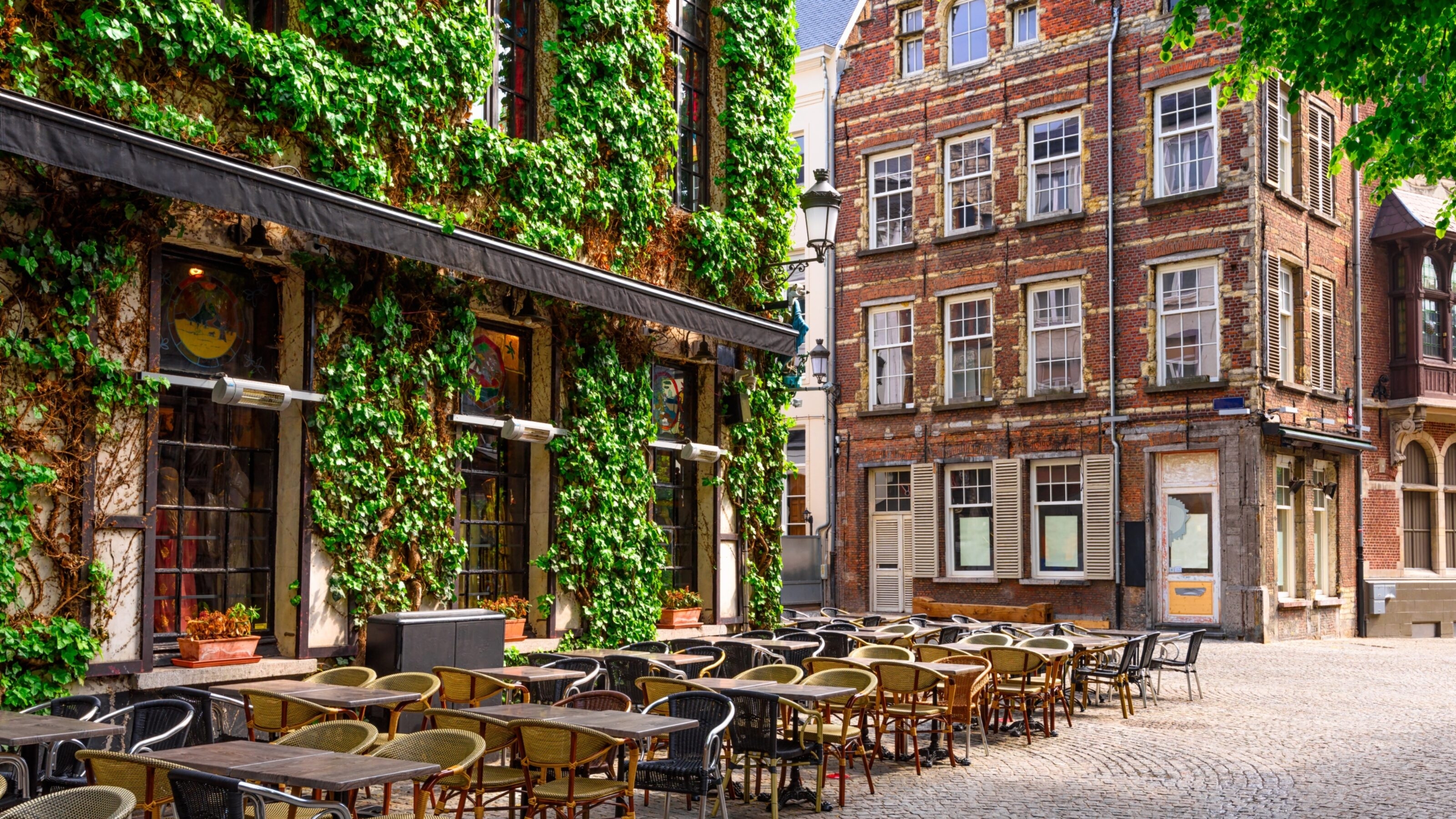 Outdoor cafe seating with ivy-covered building on a cobblestone street.