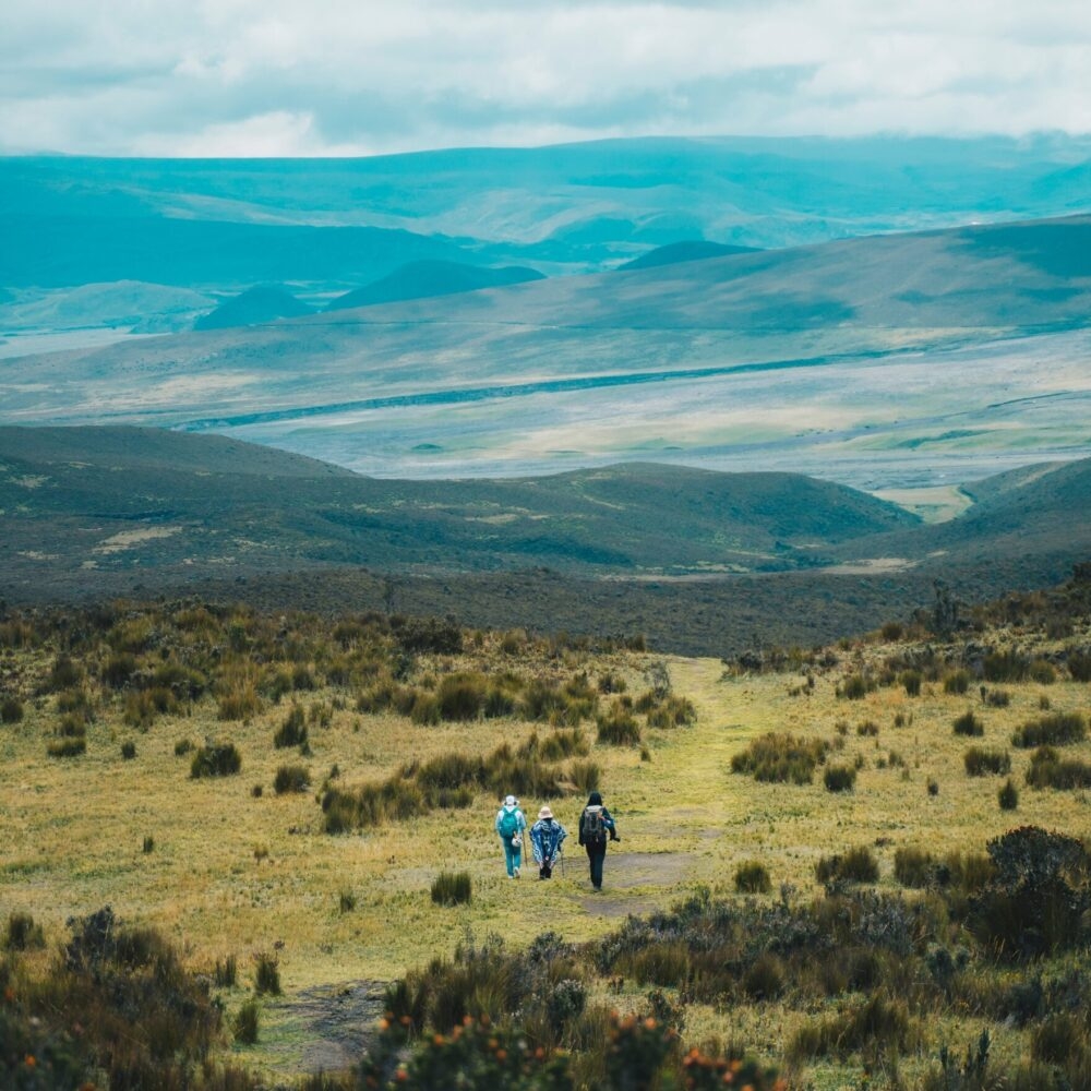 Hikers walking in a grassy valley with distant rolling hills.