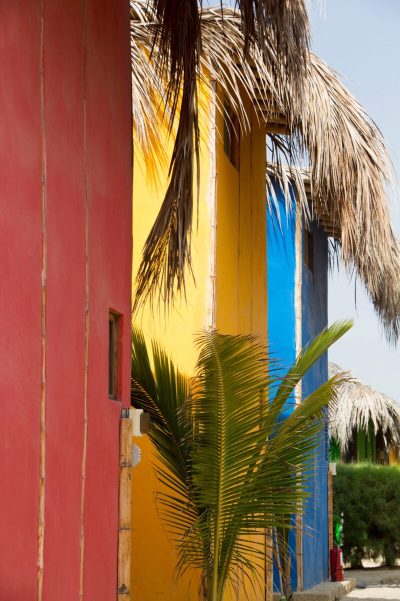 A vibrant tropical scene with colorful buildings and palm trees.