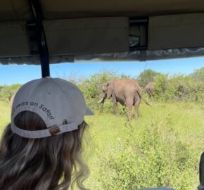 Person in a safari hat observing elephants from a vehicle in a grassy field.