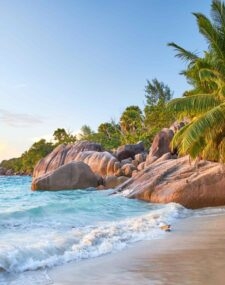 Singita Grumeti Safari and the Seychelles