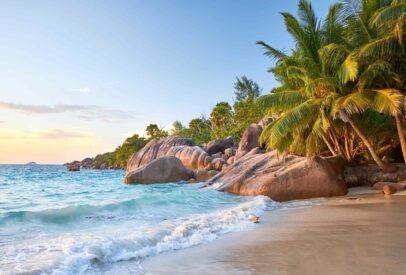 Singita Grumeti Safari and the Seychelles