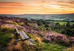 A Quintessential English Journey from London to the Wild North