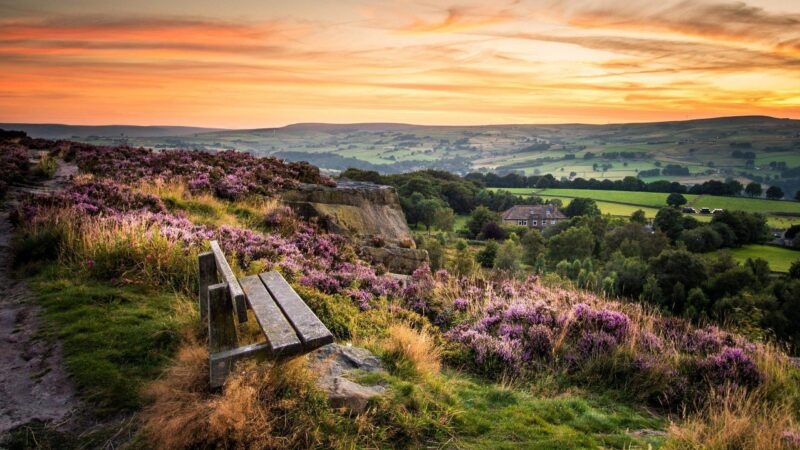 A bench overlooking heather and fields in the Yorkshire Dales