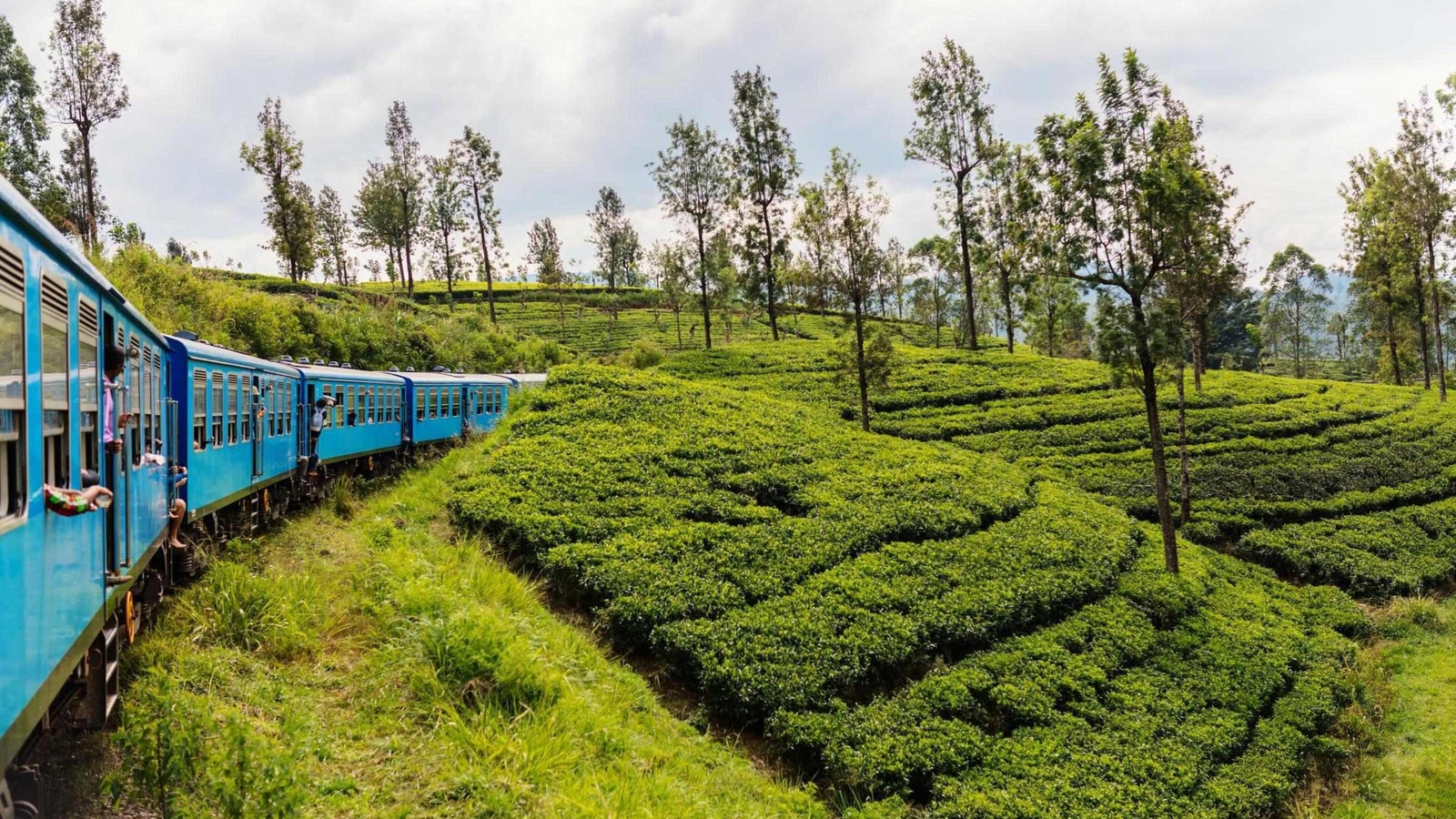 A train travelling through Tea Country in Sri Lanka