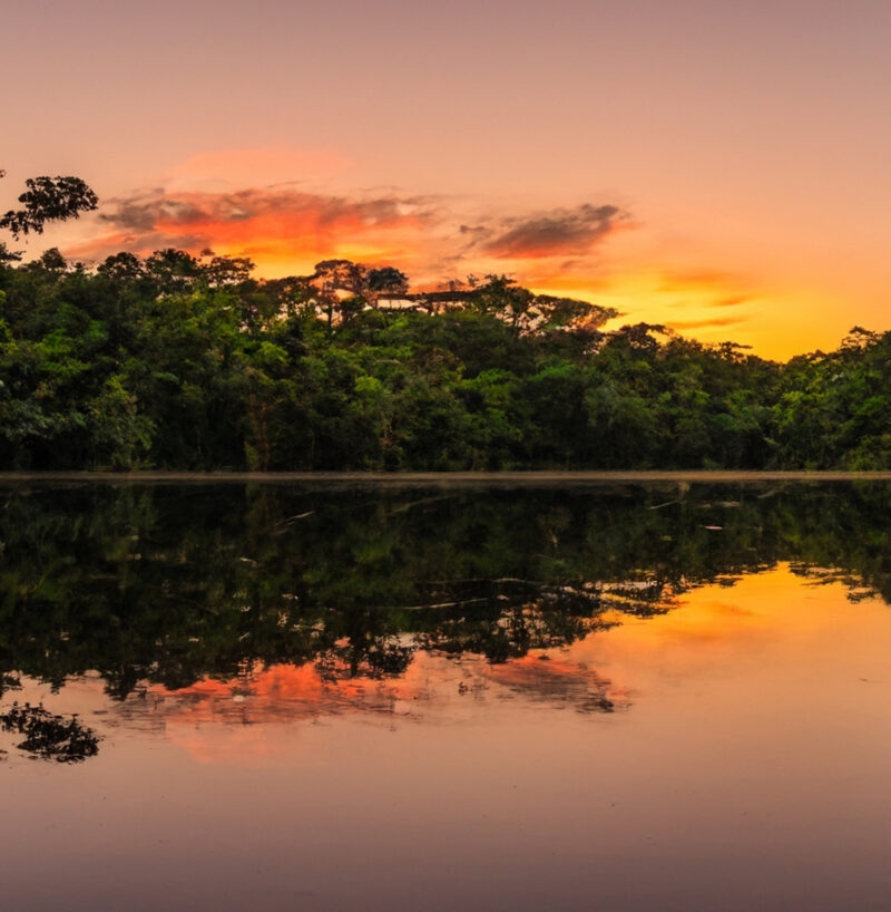 A burnt-orange-hued sunset in the Peruvian Amazon.