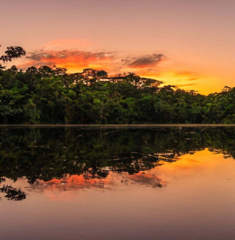 A burnt-orange-hued sunset in the Peruvian Amazon.