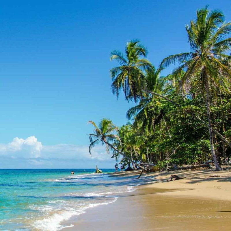 A tropical beach with palm trees in Puerto Viejo, Costa Rica