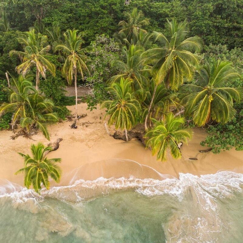 Aerial view of beach fringed by palm trees in Puerto Viejo, Costa Rica