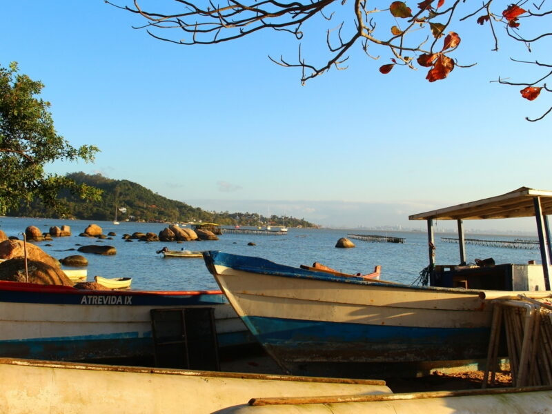 Boats moored up on the beach in Florianópolis