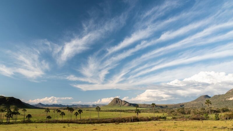Beautiful view to typical Cerrado landscsape in Brazil