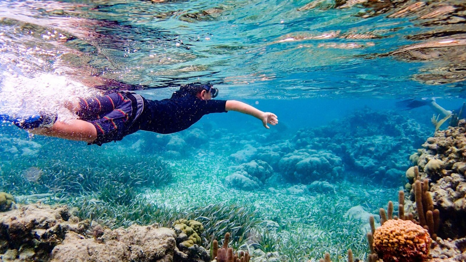 Snorkelling Ambergris Caye Belize