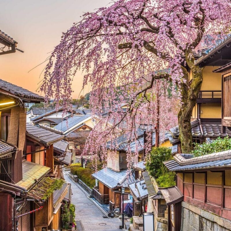 Kyoto, Japan in Spring