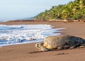 Costa Rica thumbnail