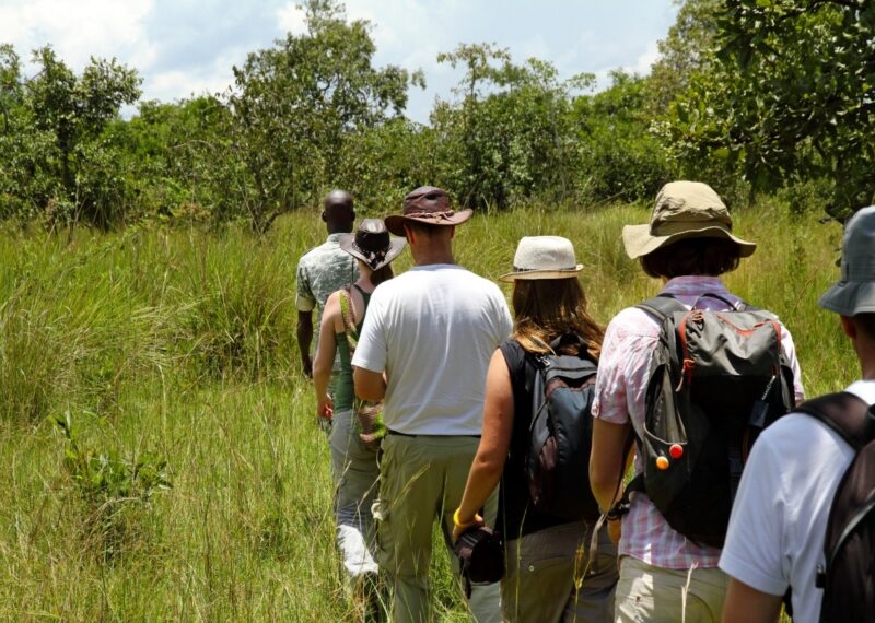 A group of tourists walk single file following a local guide on safari