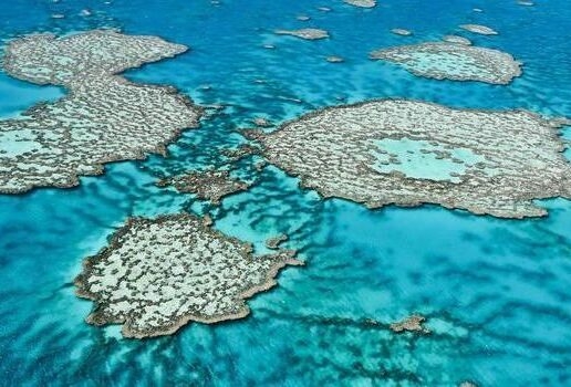 An aerial view of the Great Barrier Reef, sunset at Uluru, and the coastline of Daintree National Park