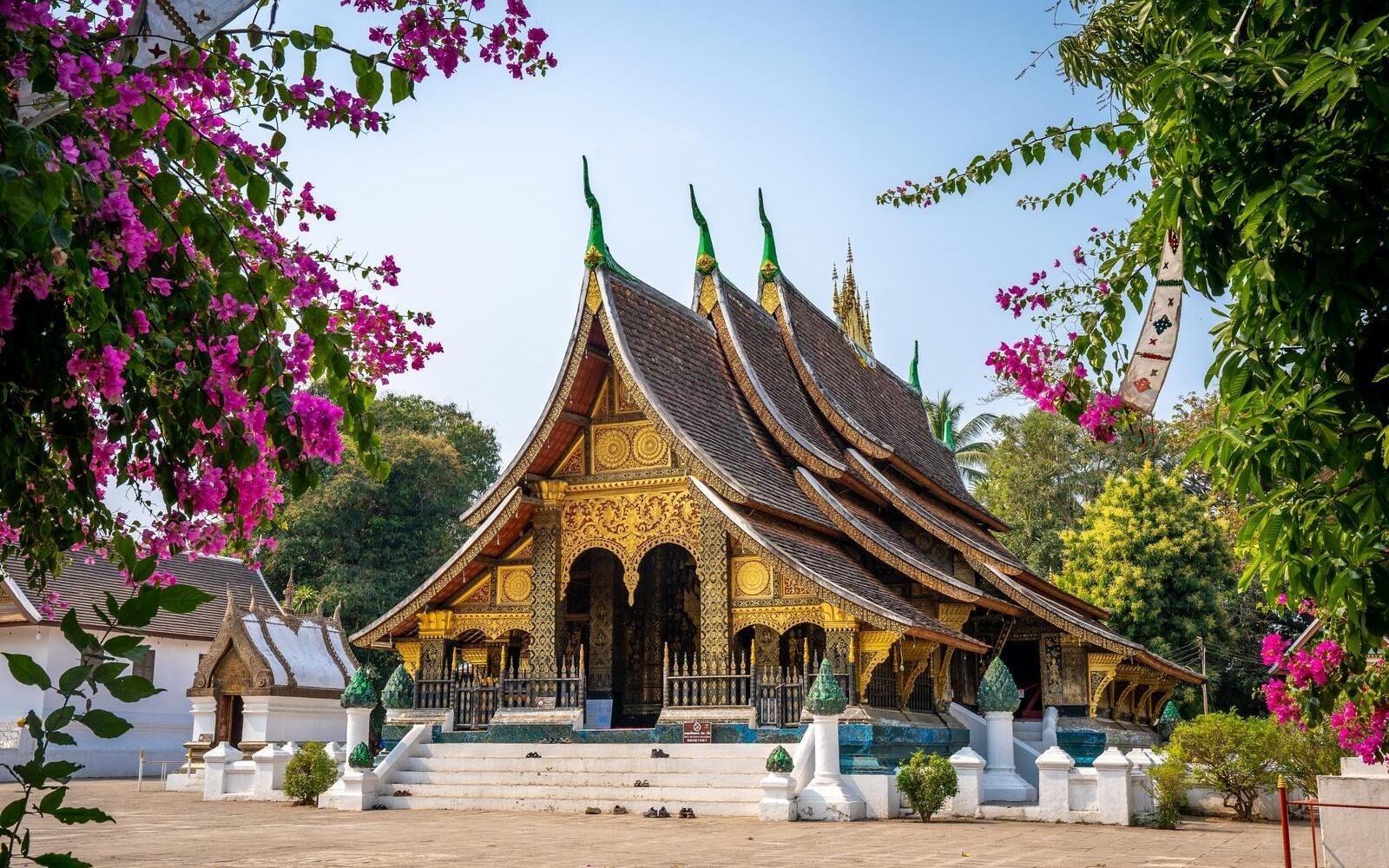 The ornate Wat Xieng Thong temple framed by beautiful bougainvillaea in the heart of Luang Prabang, Laos.