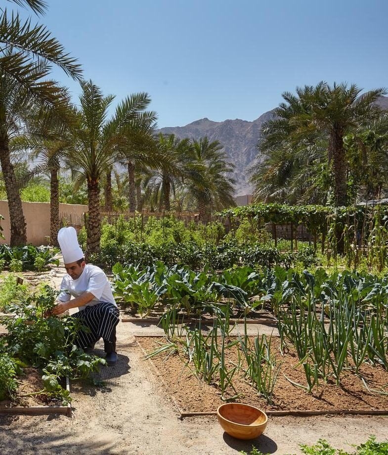 Chef harvesting fresh produce in the organic garden at Six Senses Zighy Bay, Oman, and a hands-on cooking class set up with local ingredients at La Sultana Marrakech.
