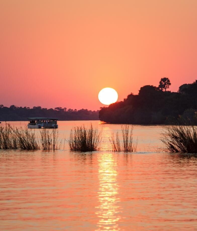 Spot animal behaviour on a walking safari, like this elephant scratching against a tree in South Luangwa National Park, and enjoy a golden sunset cruise on the Zambezi River in Lower Zambezi National Park.