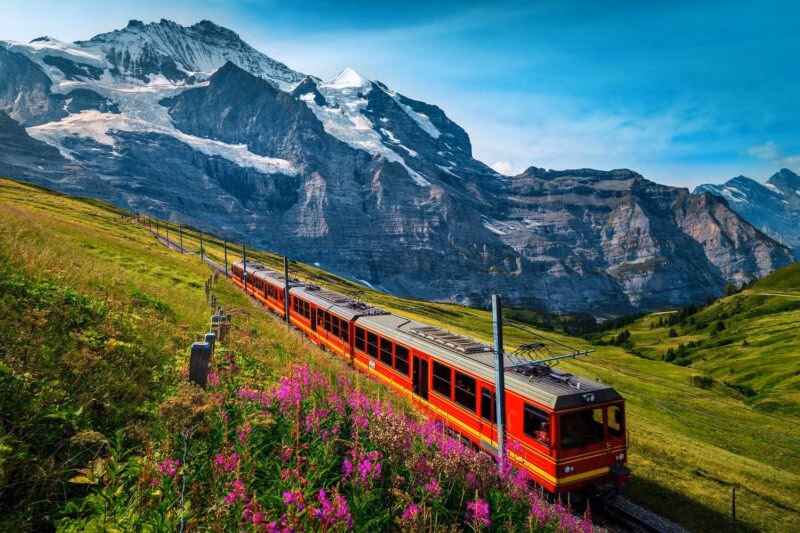 A bright red train on an alpine railway track ascending a green slope, with massive snowy mountains behind, showcasing luxury Europe rail tours.