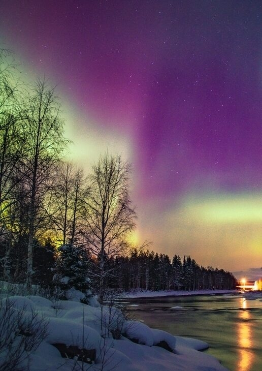 The aurora lighting up the sky over Rovaniemi in Finnish Lapland, a majestic elephant seen on a walking safari in Tanzania and dolphins leaping beside traditional dhows in Oman’s Gulf of Musandam.