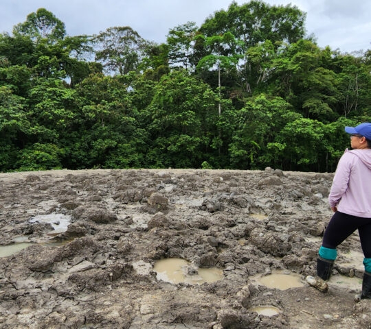 Rear view of woman at the mud volcano in Tabin wildlife Reserve
