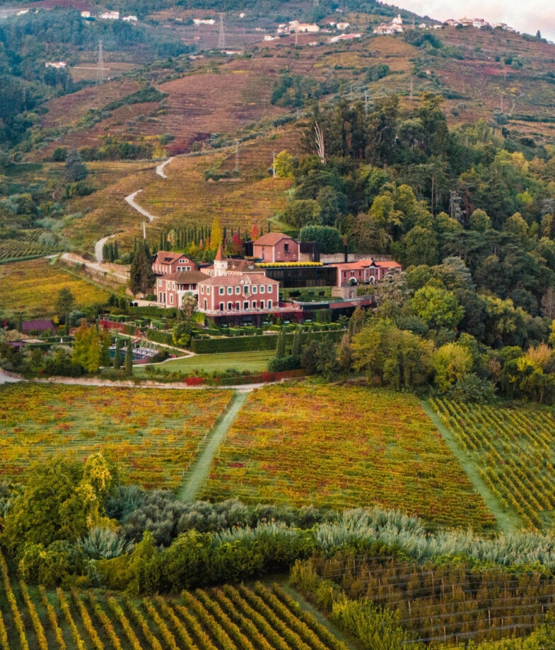 The wildlife of the Esteros del Iberá wetlands in Argentina and Six Senses Douro Valley in Portugal