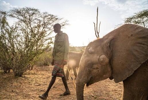 A traditional wooden boat floats down the Mekong river, visit Reteti Elephant Sanctuary while staying at Sarara Camp and the stunning Seville skyline glowing under a winter sun