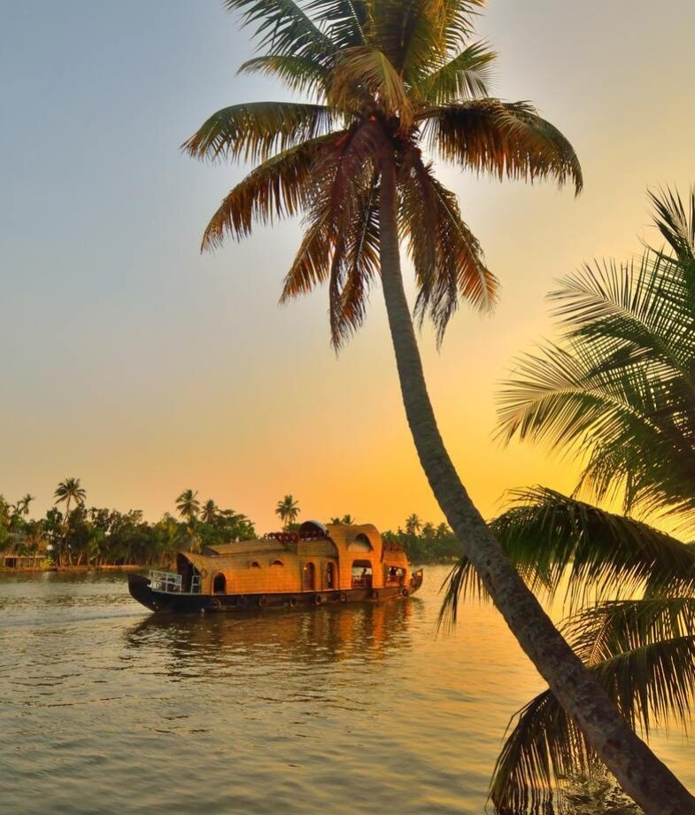 An adolescent gorilla in Volcanoes National Park, Rwanda and a peaceful riverside scene in Kerala, India