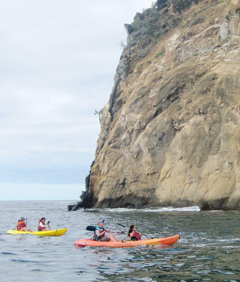 Kayak beneath rugged cliffs and share the sea with speedy little Galápagos penguins.