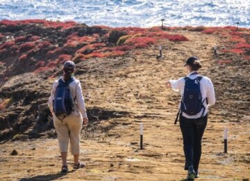 Galapagos thumbnail