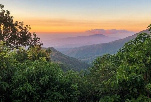 Spot howler monkeys in Tayrona National Park, take a sunset hike in Sierra Nevada de Santa Marta or learn how coffee is made in the Coffee Triangle