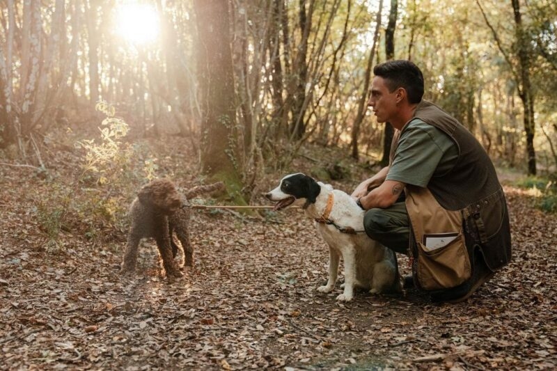Luxury European Tours - A truffle hunting guide with this dogs in Italy
