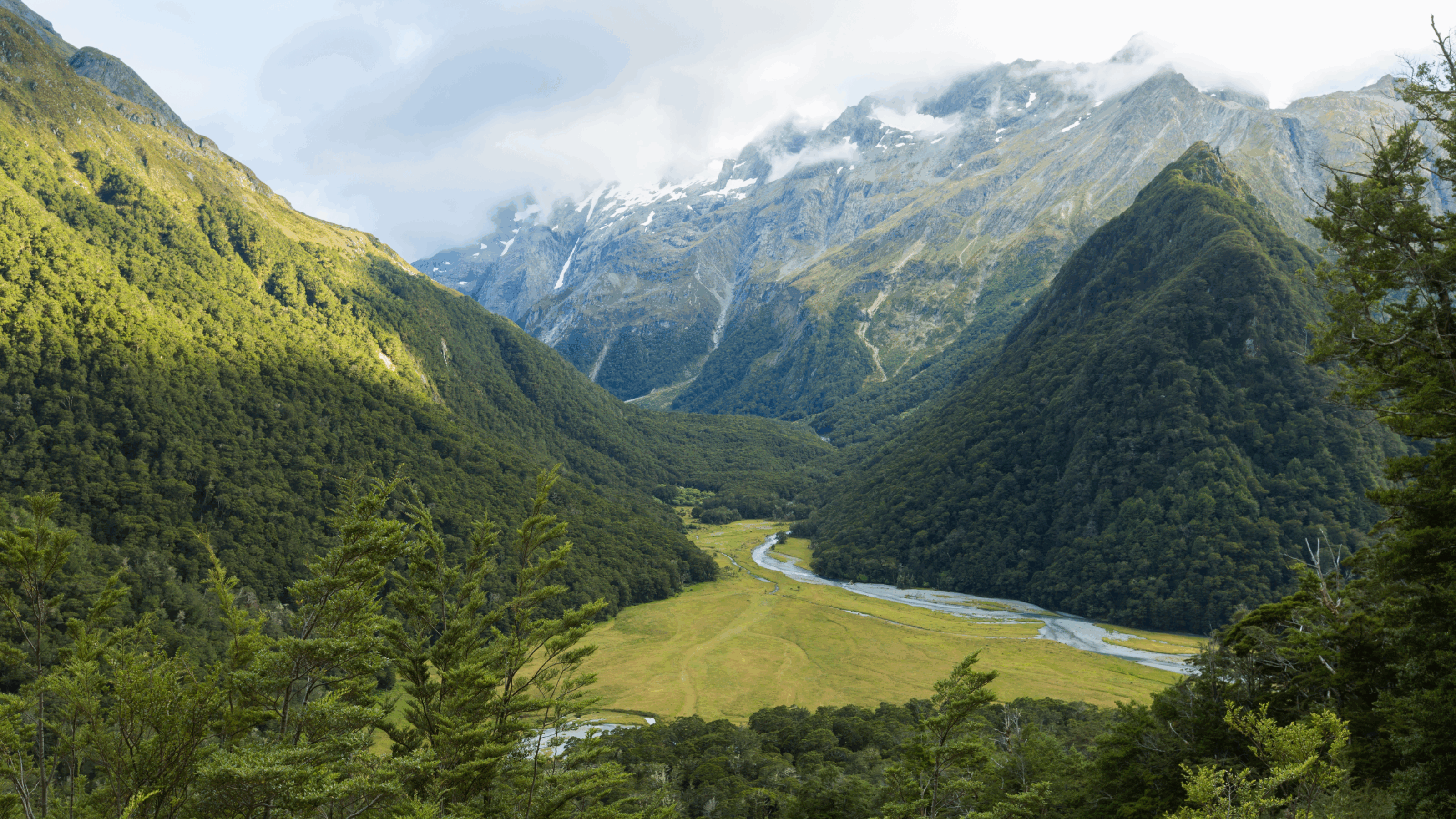 The verdant routeburn flats in New Zealand