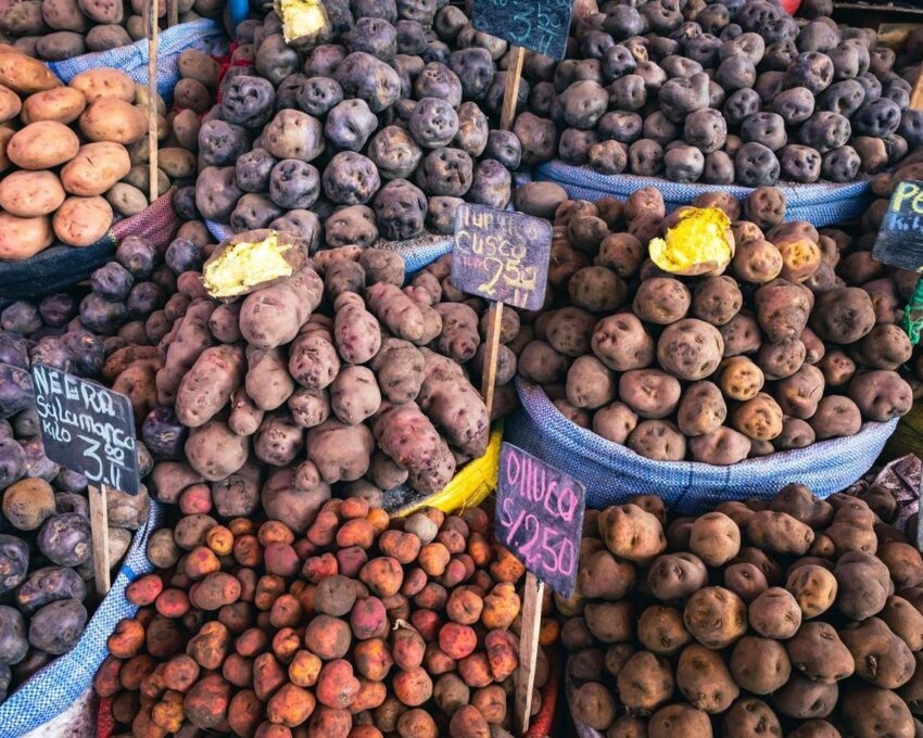 Different types of potatoes at the local market in Peru