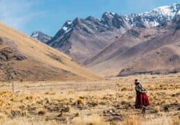 Culture and Connection in Peru