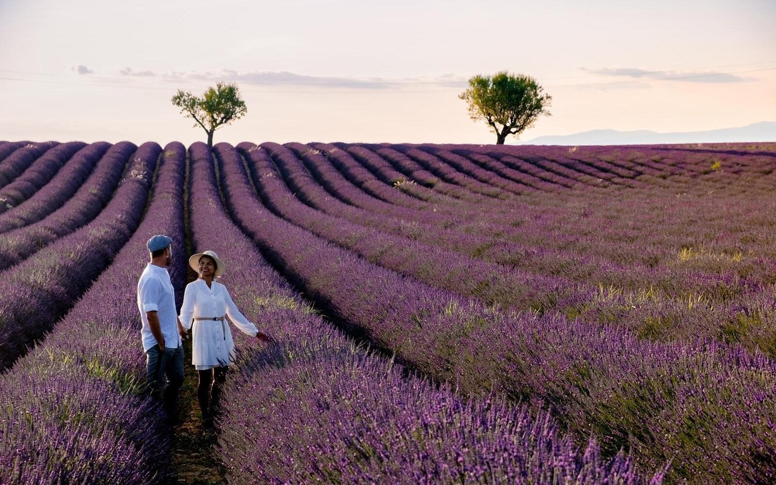 A couple enjoying the soft evening light among blooming lavender fields in Provence.