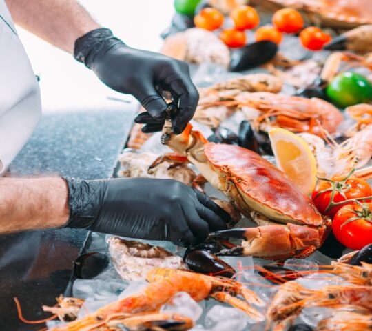 Your chef preparing a Blue Zone seafood feast with fresh Gulf of Nicoya catch.
