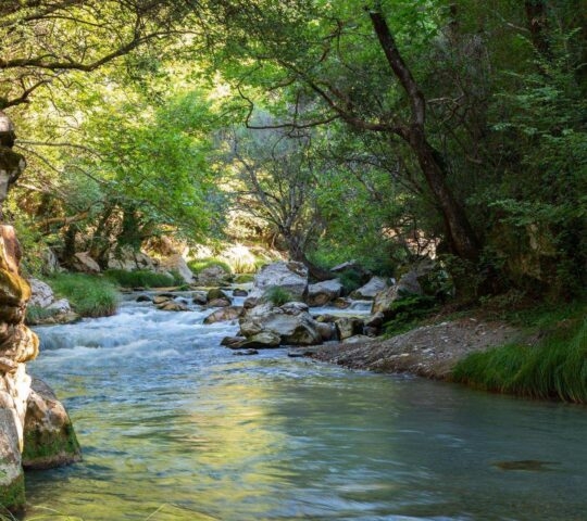 The Lousios river in Arcadia, Greece