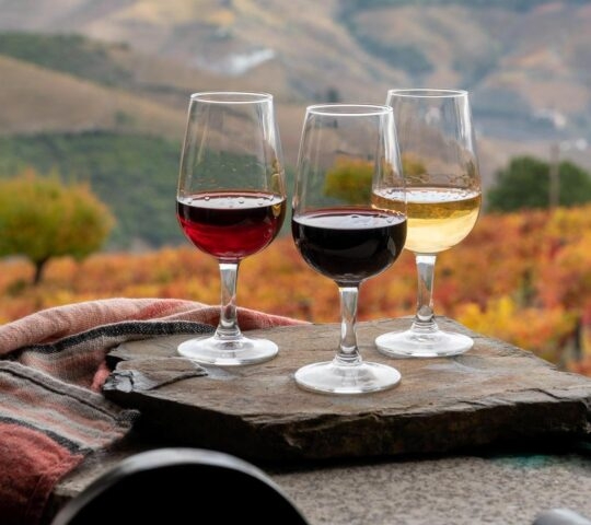 Three glasses of wine arranged for a wine tasting
